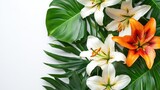 Floral arrangement with vibrant lilies and lush tropical green leaves on a clean background for elegant design projects.
