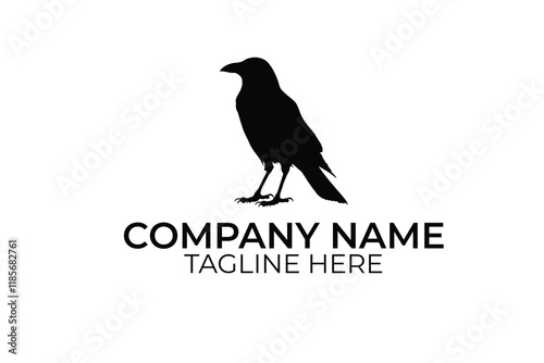 crow on a white background