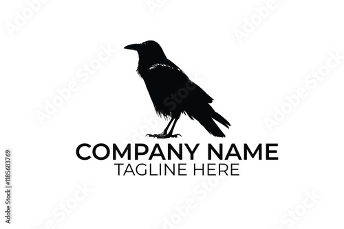 crow on a white background