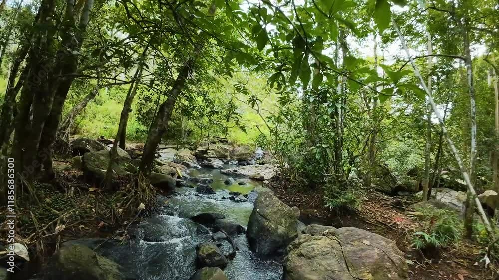 Discover the beauty of Sri Lanka's nature with this 4K drone footage of a calm water stream in tropical greenery.