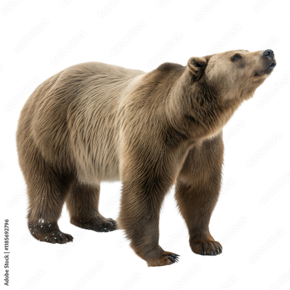 Obraz premium Arctodus AI Generated Image