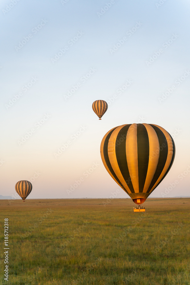 Obraz premium Hot Air Balloons flying across the Serengeti, Tanzania