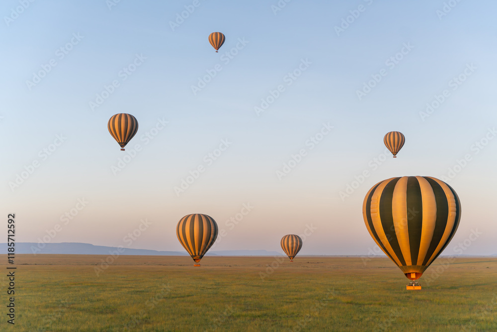 Obraz premium Sunrise hot air balloon flight in Africa