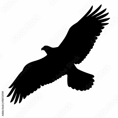 A black eagle is flying in the sky. The bird is in the air and has its wings spread out