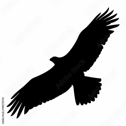 A black eagle is flying in the sky. The bird is in the air and has its wings spread out