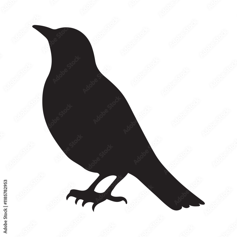 Fototapeta premium Starling bird silhouettes vector illustration, Common Starling Clipart, Starling silhouette, European starling illustration in black and white
