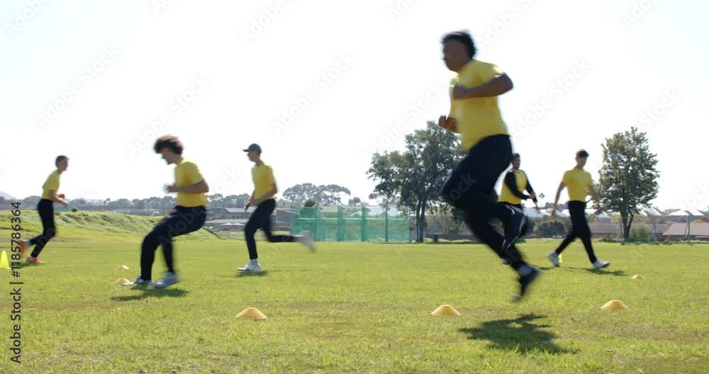 Running drills on field, athletes training with cones for cricket practice Running drills on field, athletes training with cones for cricket practice