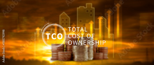 TCO concept. Total Cost of Ownership, purchase price of an asset plus the costs of operation, business concept background photo