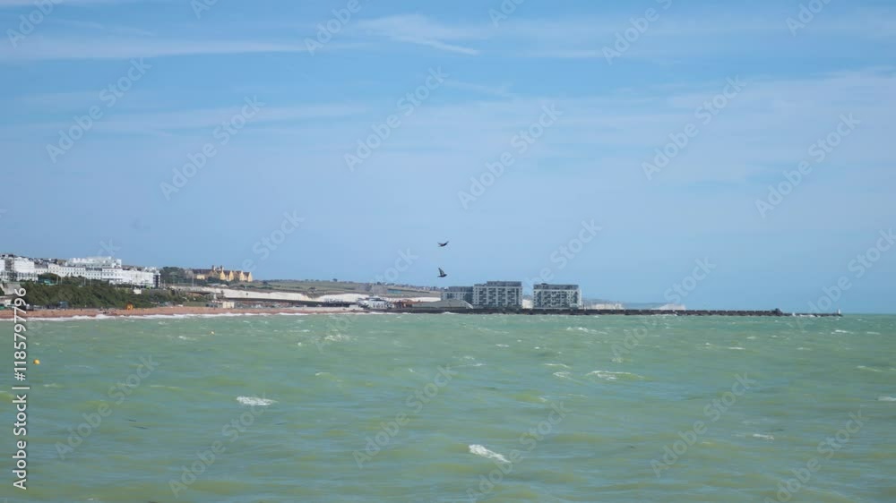 Seaside View with Birds and Pier