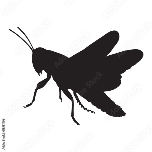 Silhouette grasshopper Insect animal black vector illustration ,Grasshopper silhouette vector illustration, Bugs Vector Silhouette
