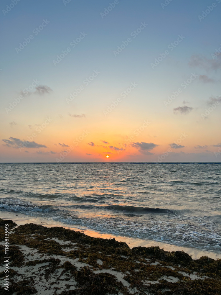 Fototapeta premium sunset on the sea