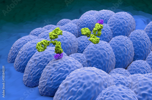 Monoclonal antibody treatment in Endometrial cancer - closeup view 3d illustration photo