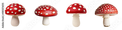 Colorful and Unique Red and White Spotted Toadstool Mushrooms Thriving in the Natural Forest Environment
