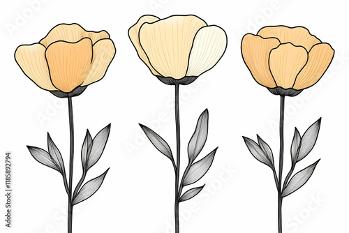 Flowers Bloom Beautifully with Graceful Stems and Petals