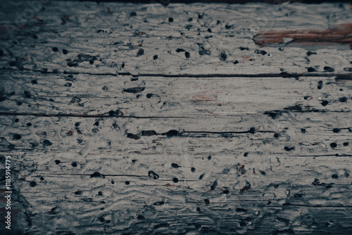 Wood texture. Aged spruce. Boards damaged by bark beetles. Bark beetle tunnels as organic texture photo