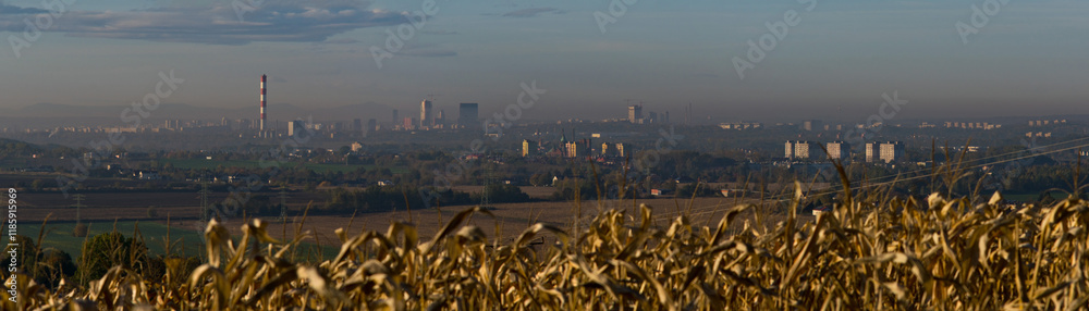 Będzin Grodziec. Widok z góry Dorotki.