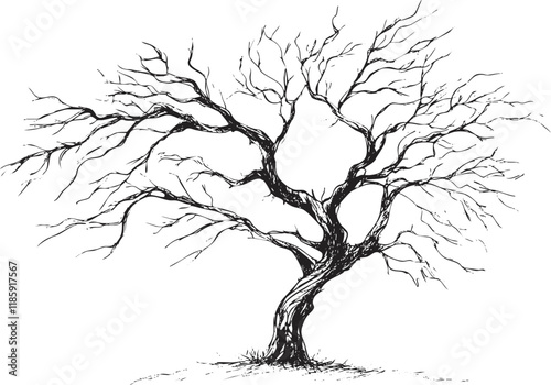Monochrome illustration of a tree with bare branches, showcasing winter elegance.