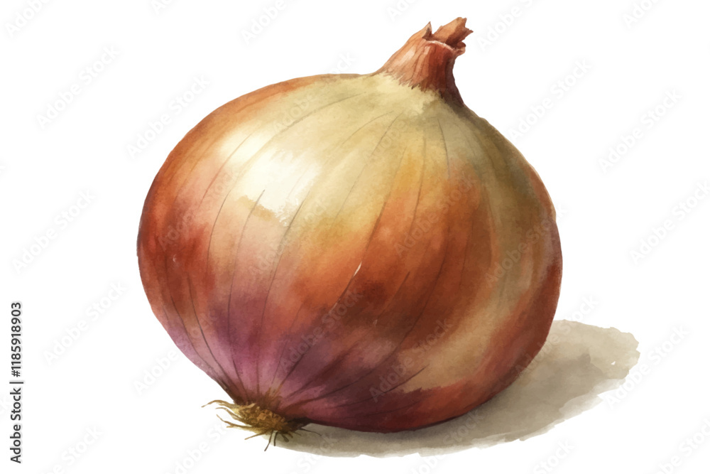 Fototapeta premium Realistic watercolor onion, vibrant colors, detailed texture, culinary ingredient, fresh produce, artistic illustration.