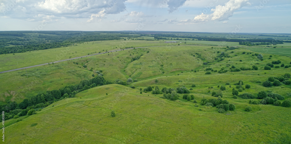 Obraz premium Large field of grass with a few trees in the background