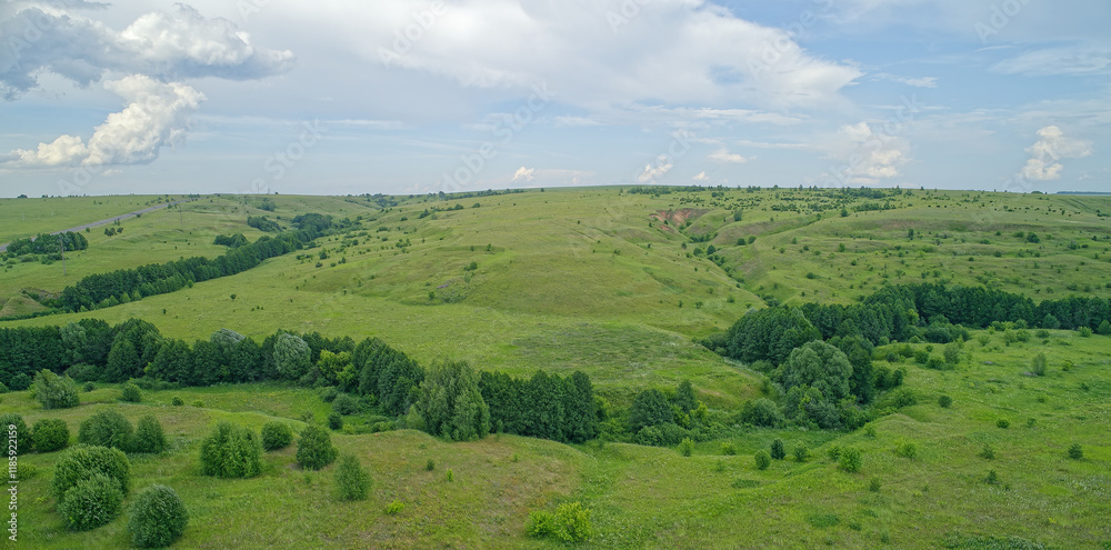 Obraz premium Large, open field with a few trees scattered throughout