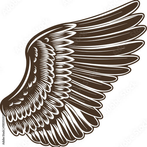 Wing flutter in detailed sepia illustration