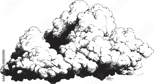 Black and white cloud illustration with detailed artistic shading.