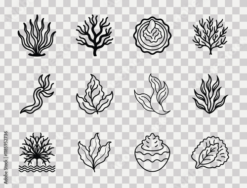 vector illustration set featuring various seaweed and algae designs. Each element is drawn in minimalist line art style with clean and bold strokes, designed for use in packaging, branding.