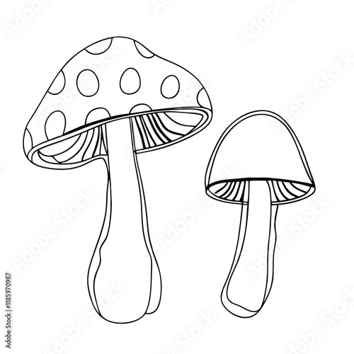 Line art of mushroom. Vector illustration