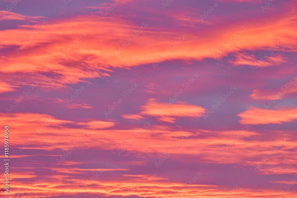 landscape with red sky at sunset landscape with red sky at sunset
