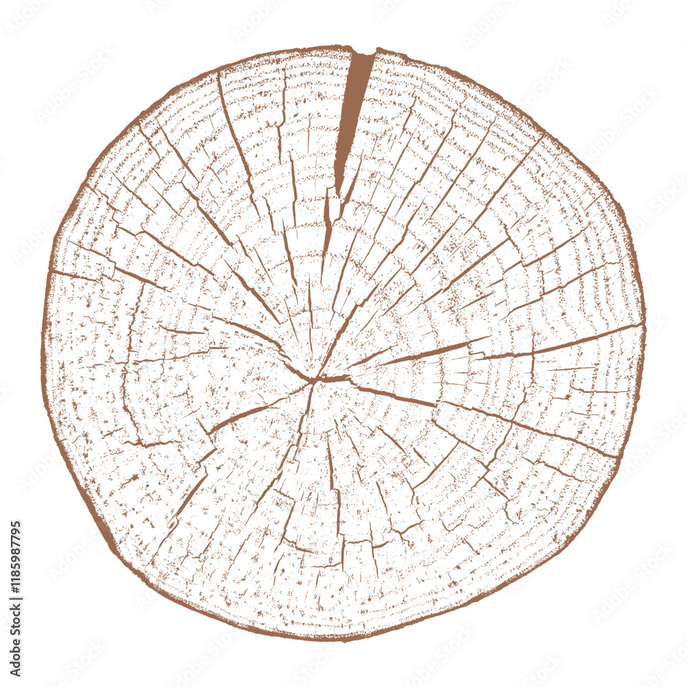 Tree wood texture. Wooden old trunk. Cut timber log. Abstract rings nature pattern. Brown circle stump. Wood cross section.