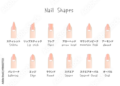 ネイル 女性の爪の形 デザインのイラストセット ネイルシェイプ ピンク