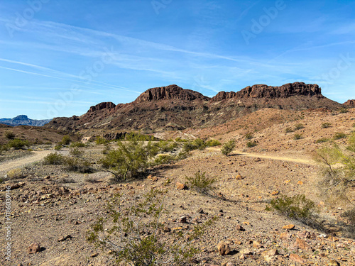 Desert landscape of Sara Park Trail - Hiking close to Lake Havasu, Arizona