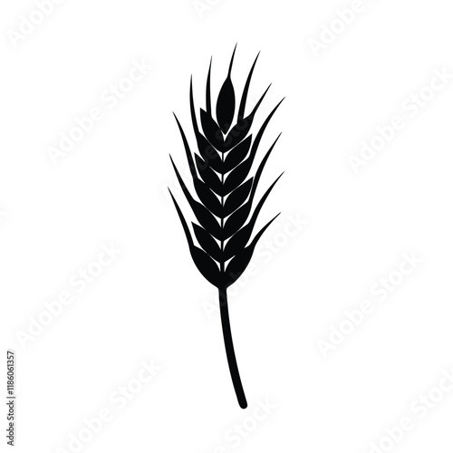 wheat isolated on white