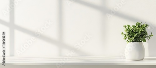 White desk space available ...