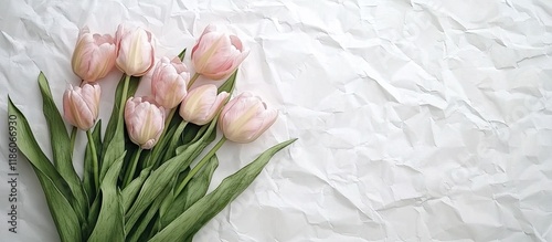 A bouquet of pink tulips re...