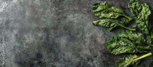 Balkan cuisine Blitva chard leaves a favored leafy vegetable Copyspace for text