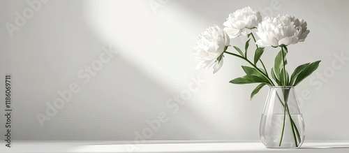 White peony in a clear vase...
