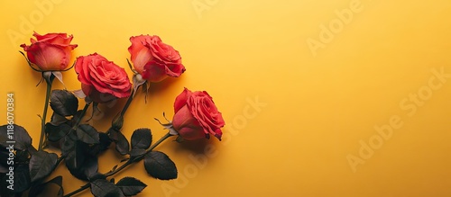 Roses set against a yellow ...