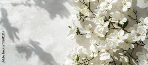 A stunning arrangement of w...