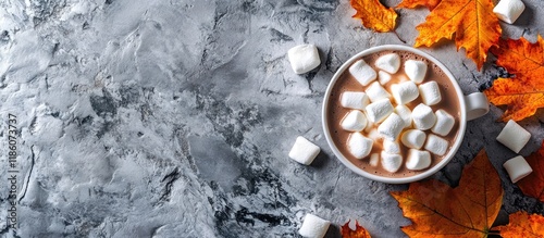 Hot chocolate with marshmal...