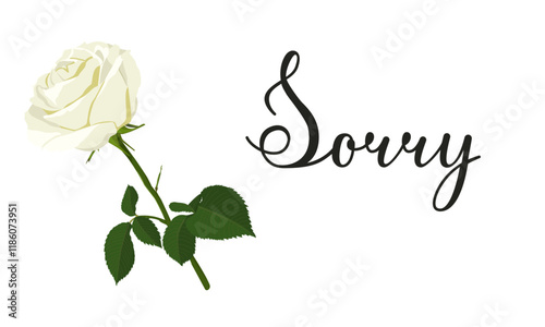 Vector image of apology lettering with white rose. Calligraphic text Sorry in horizontal view. Valentine's day concept.