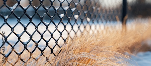 Black chain link fence topp...