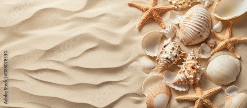 Seashells and starfish on a...