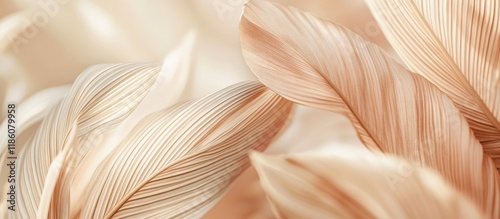 Close up of dry palm leaf t...