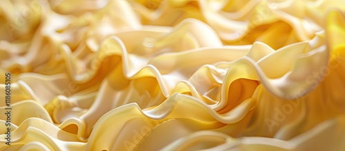 dried uncooked lasagna nood...
