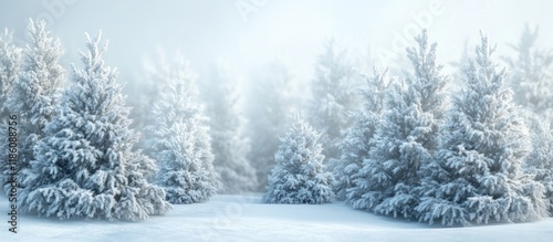 Winter nature backdrop Ever...