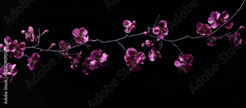 Decorative branches with pu...