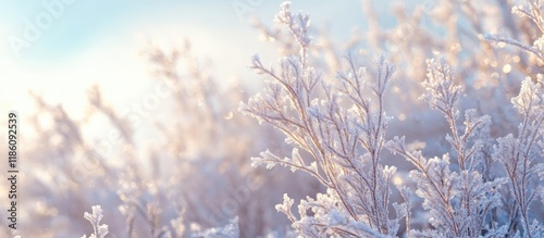 ice crystals on the vegetat...