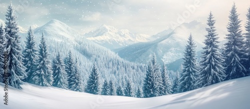 Winter mountain view with s...
