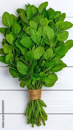 A photostock of fresh green herbs bundled neatly, isolated on a clean white background, crisp and aromatic, High Quality